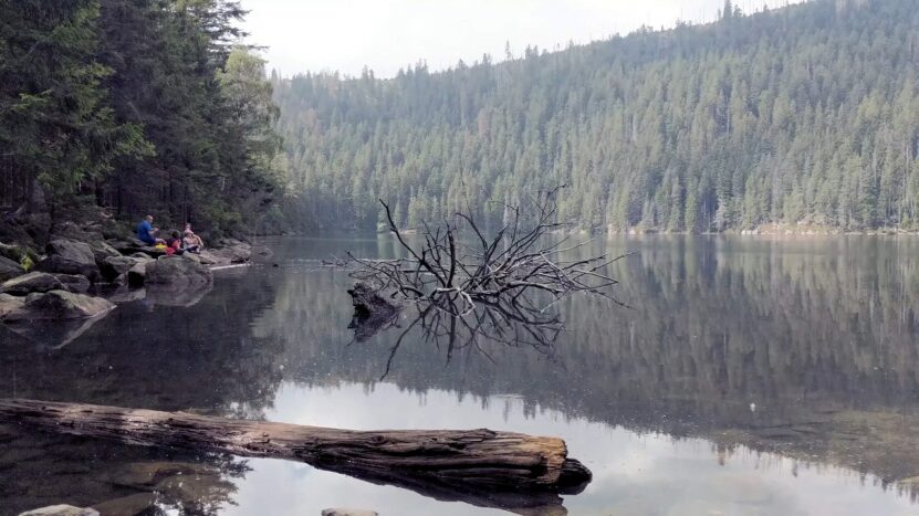 Šumava National Park in Czech Republic