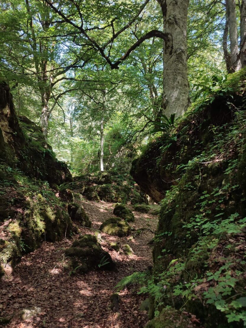 Urbasa-Andía Natural Park