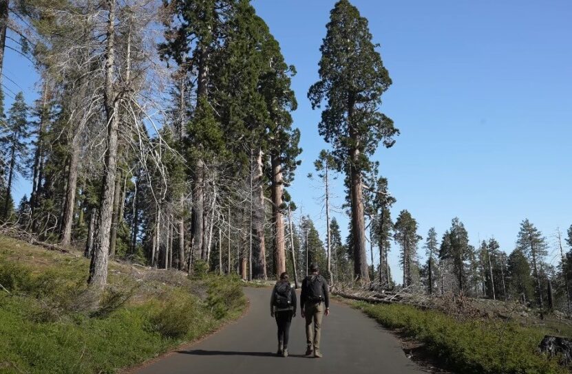 Sequoia National Park attractions